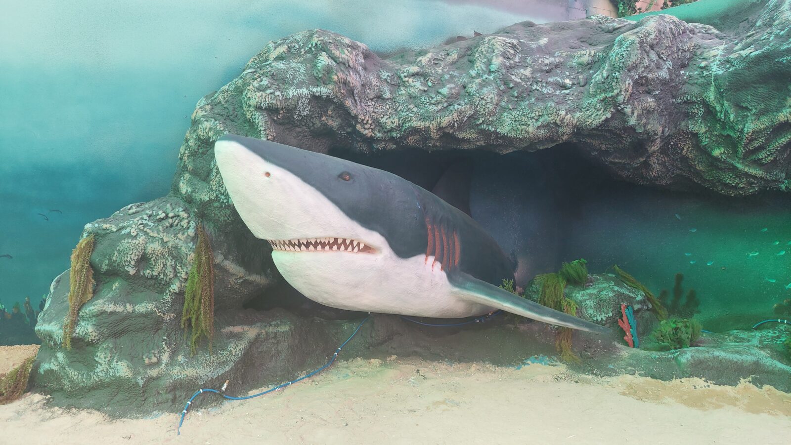 Agena Marin, blvd world, Saudi Arabia, semisubmarine (2)