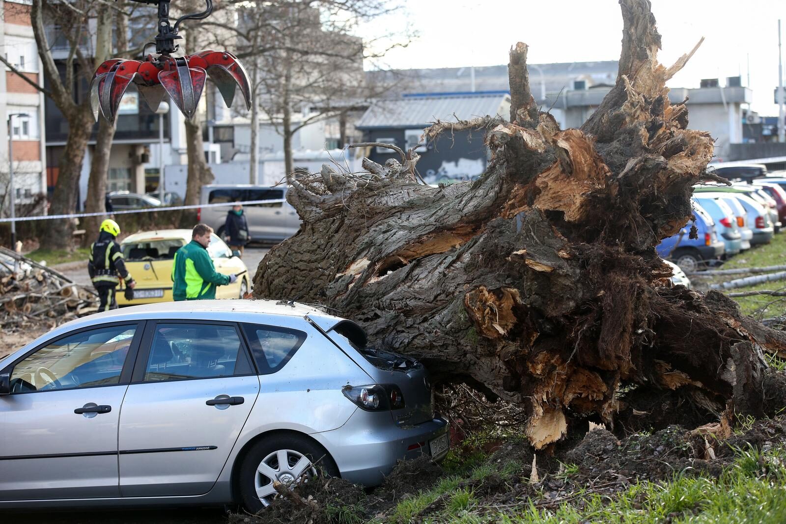 Zagreb: Vjetar srušio stablo jablana, oštećeno više automobila