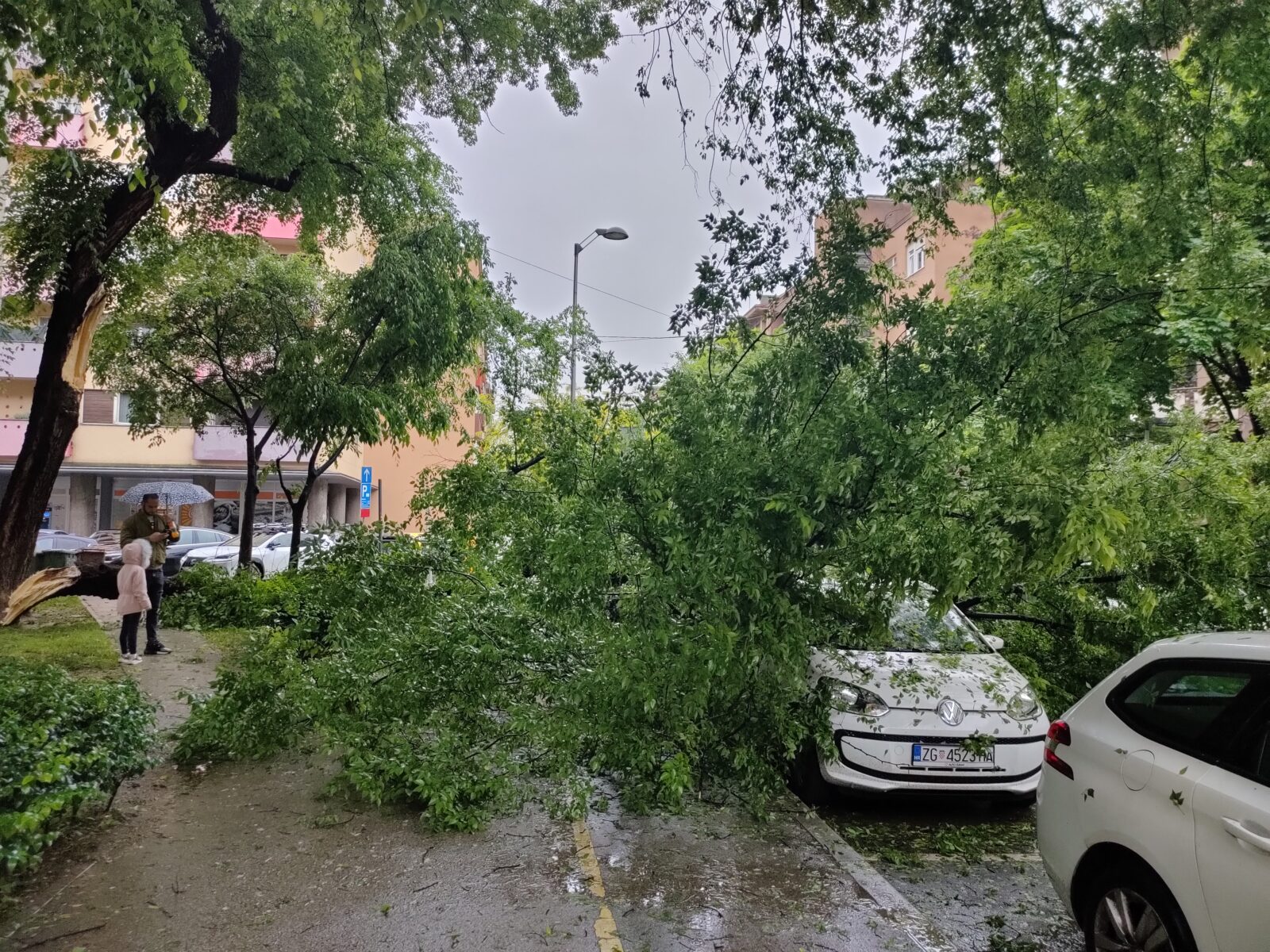 Zagreb: Sruilo se stablo na automobil u Marti?evoj ulici