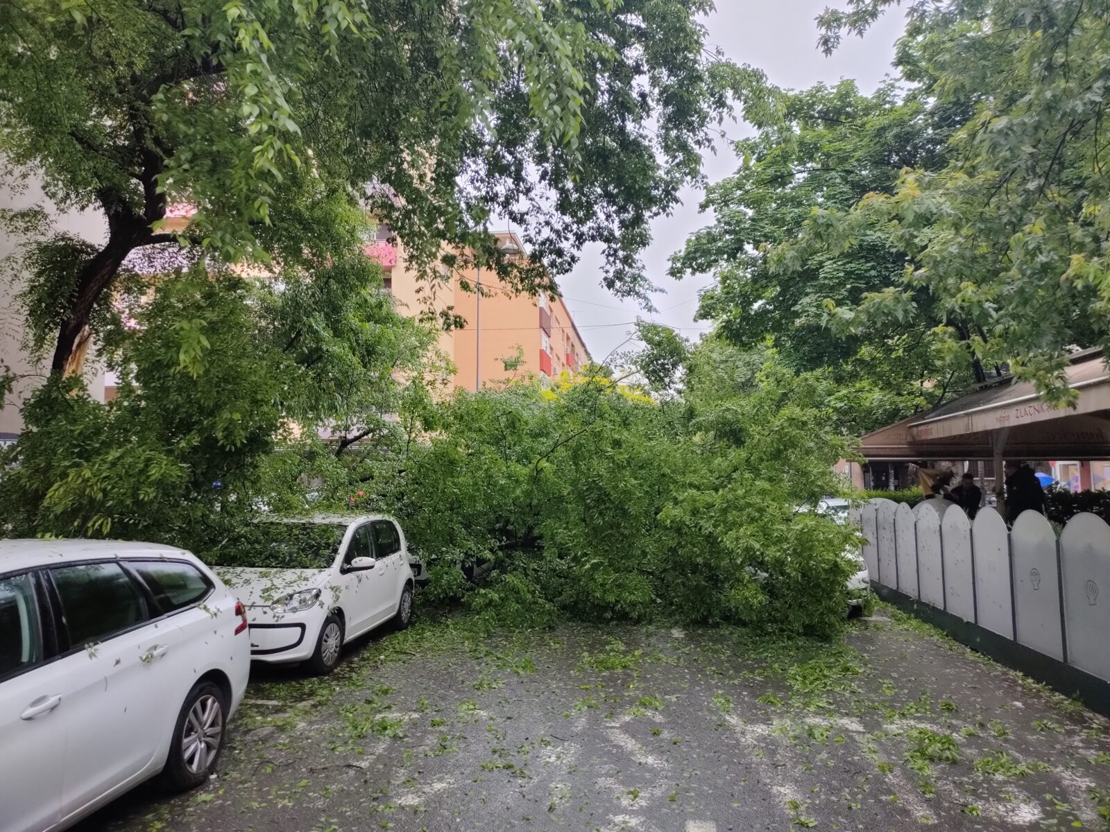 Zagreb: Sruilo se stablo na automobil u Marti?evoj ulici