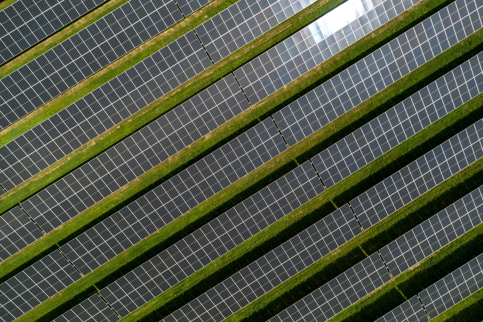 Kod Ivanca se gradi prva agrosolarna elektrana u Hrvatskoj, proizvodit će zelenu energiju i ekološku hranu