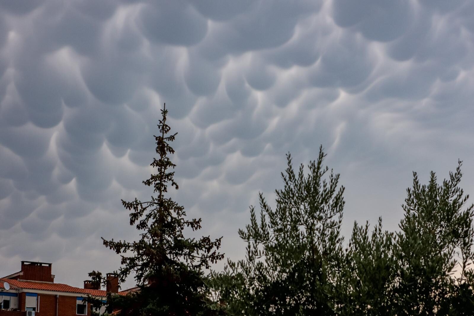 Mammatus oblaci nad Zadrom