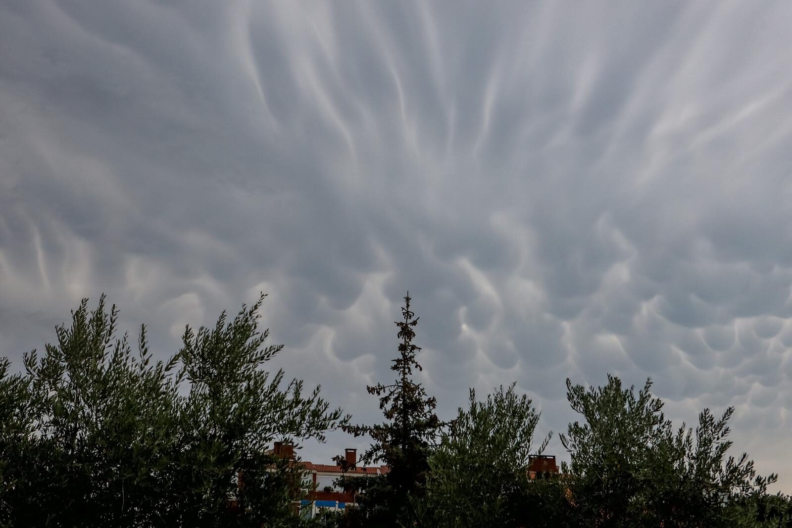 Mammatus oblaci nad Zadrom