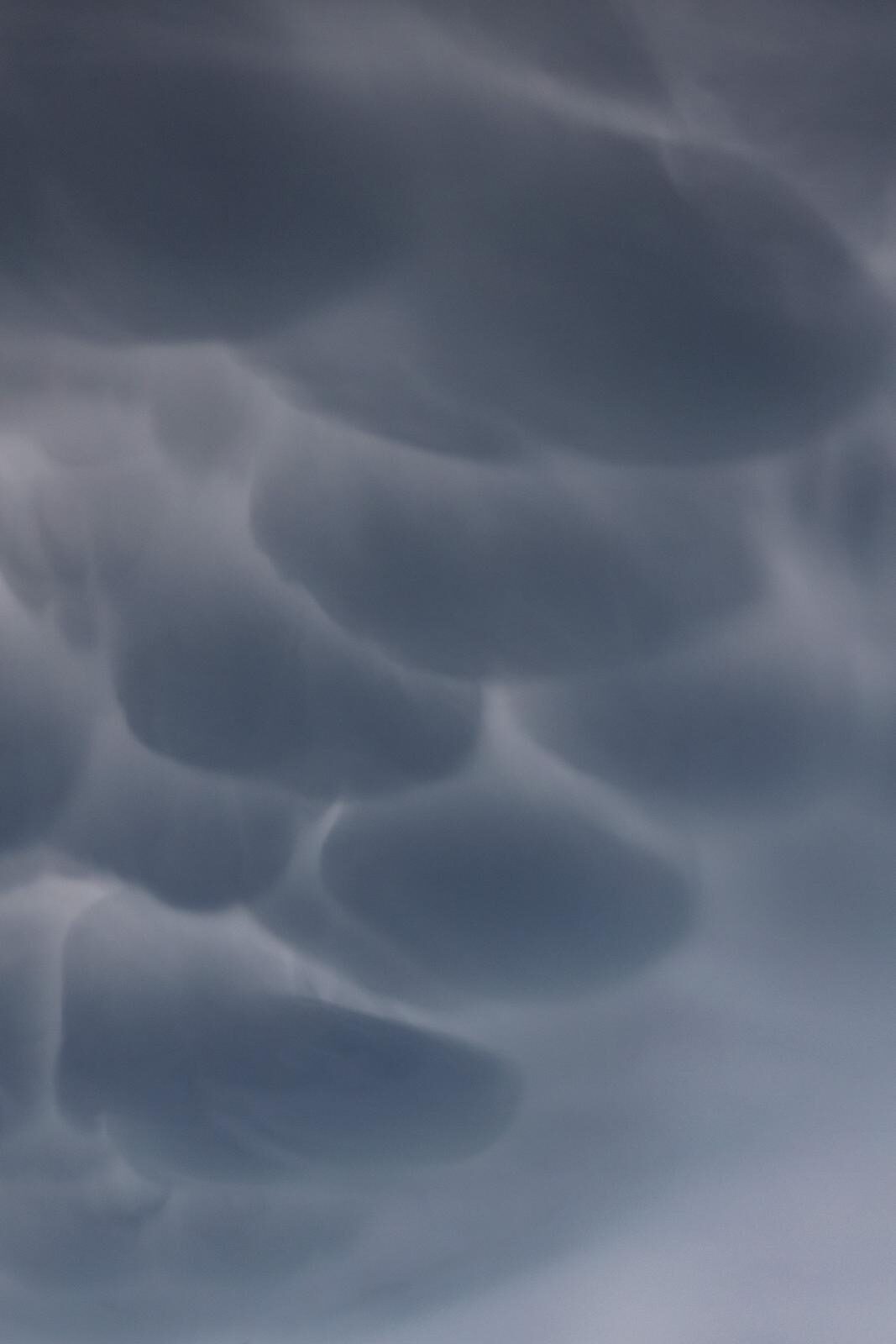 Mammatus oblaci nad Zadrom