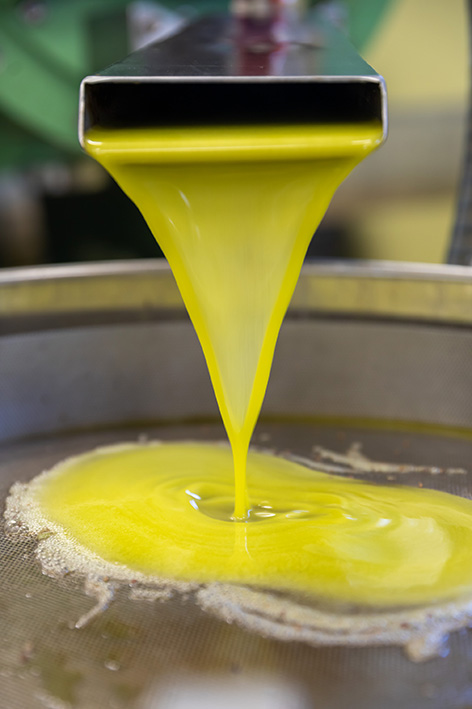 Uljara Torač Žbandaj 6a