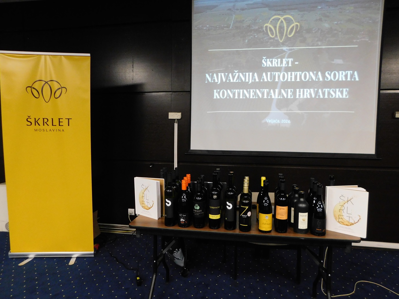 Bregovita Hrvatska na Sarajevo Wine Festu (foto Nermin Memić) (3)