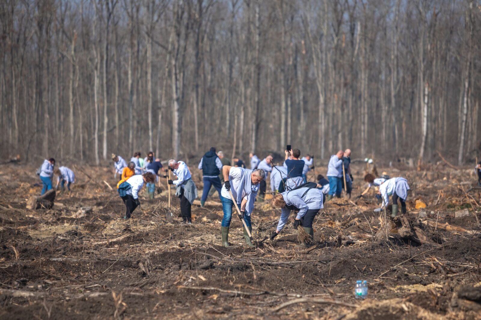 Akcija pošumljavanja spačvanskog bazena 4
