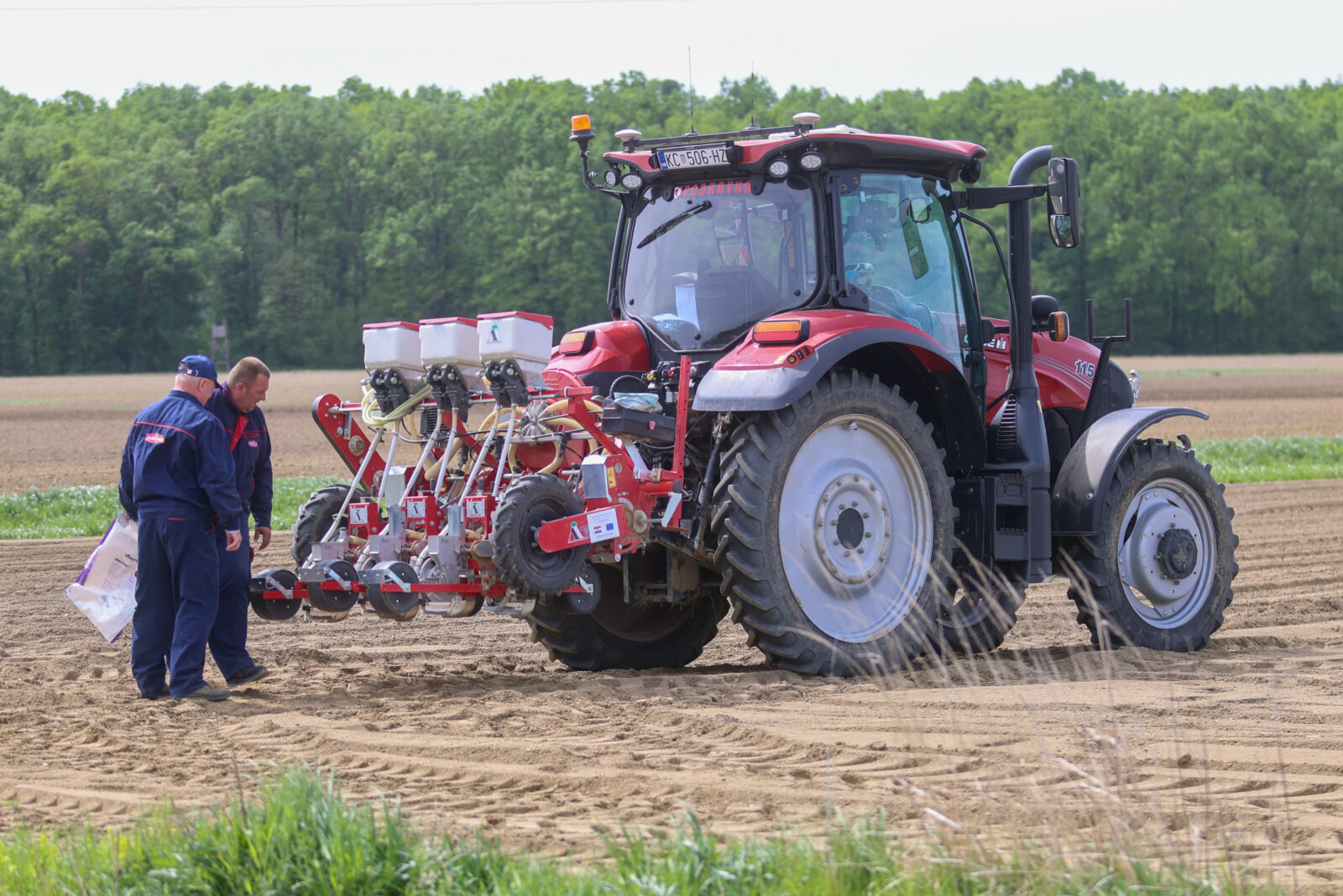 U Podravki u punom zamahu dosad najveća sadnja povrća i kukuruza (3)