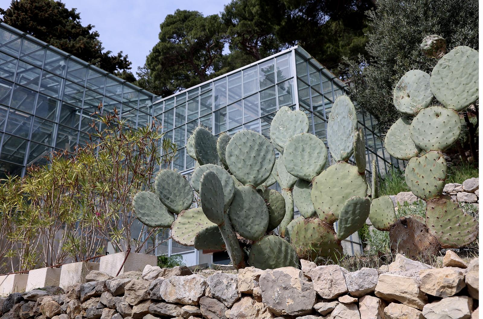 Split: Na Marjanu otvoren Botanički vrt