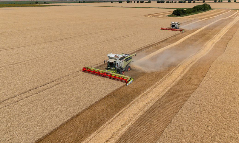 Ovogodišnja žetva donijela je dobar prinos i visoku kvalitetu zrna/Žito Grupa