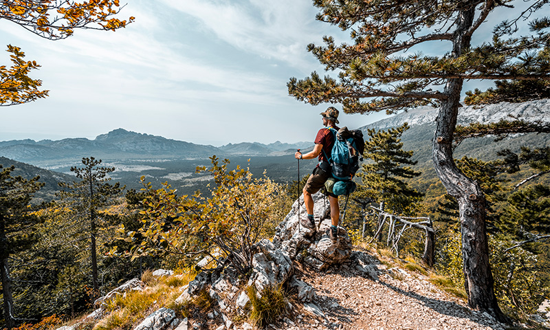 11_HL_Predrag_Vuckovic_0536