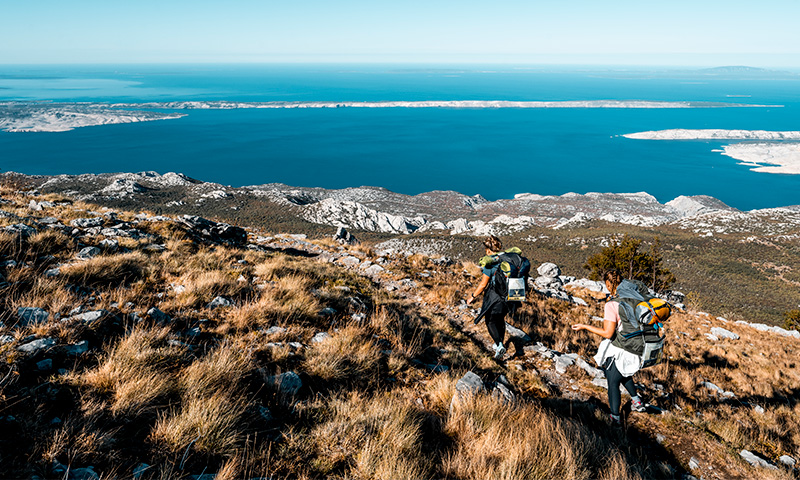 2_HL_CRO_Predrag_Vuckovic_0005