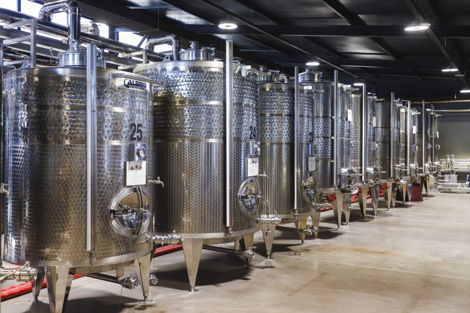 161025_oliva_allegra_markus_02