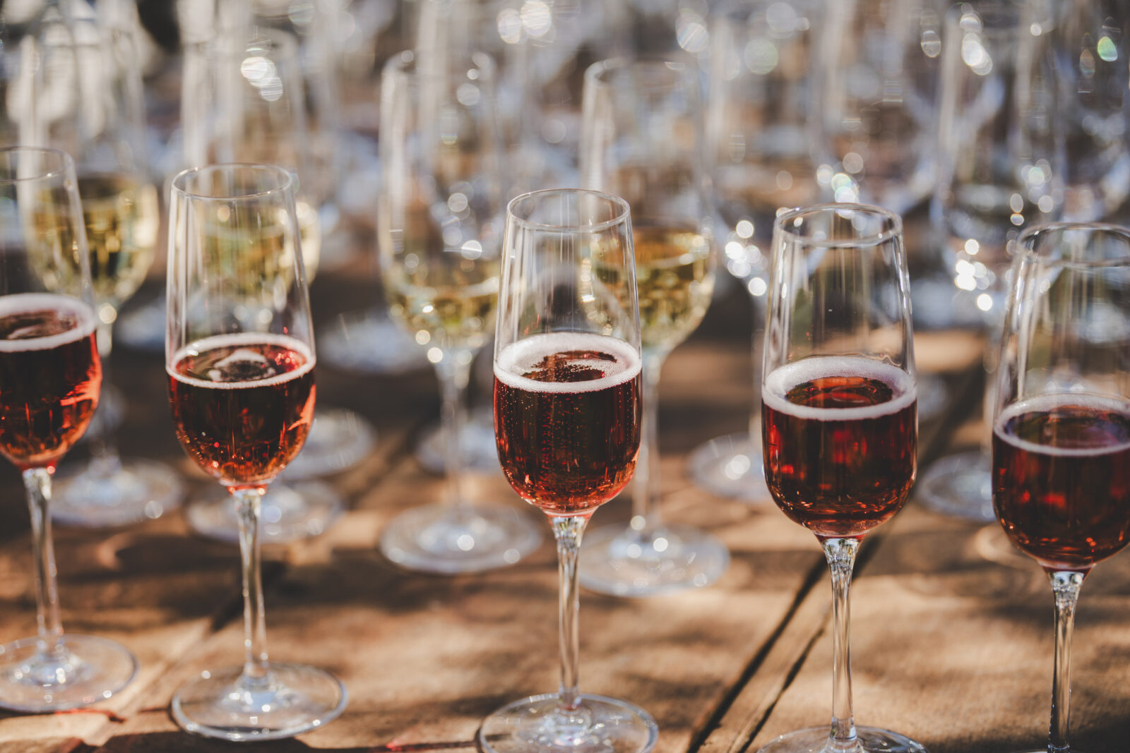 Doživljaji Istre (6)