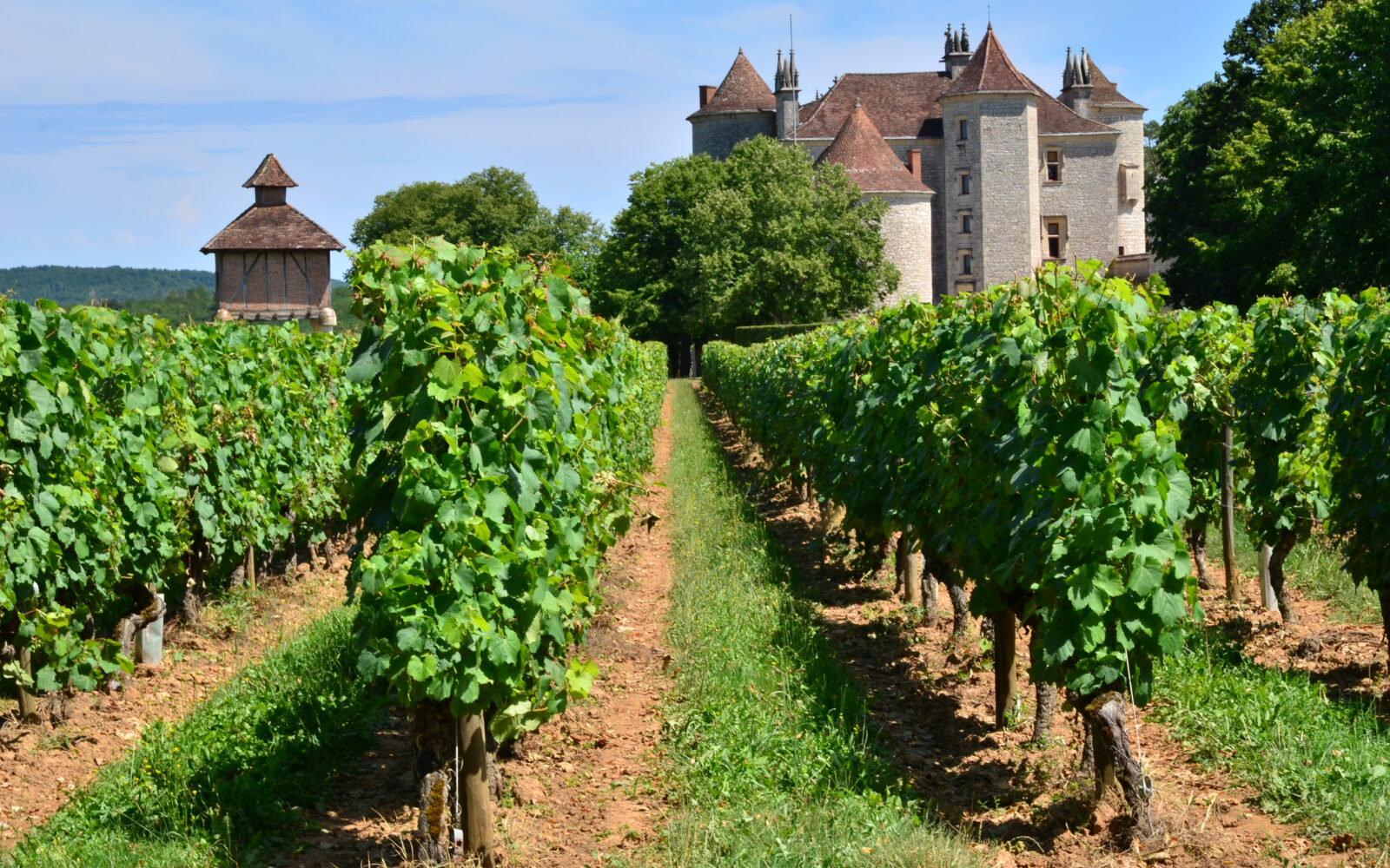 Francuskim Vinarima 130 Milijuna Eura Za Kr enje Vinograda Poslovni 