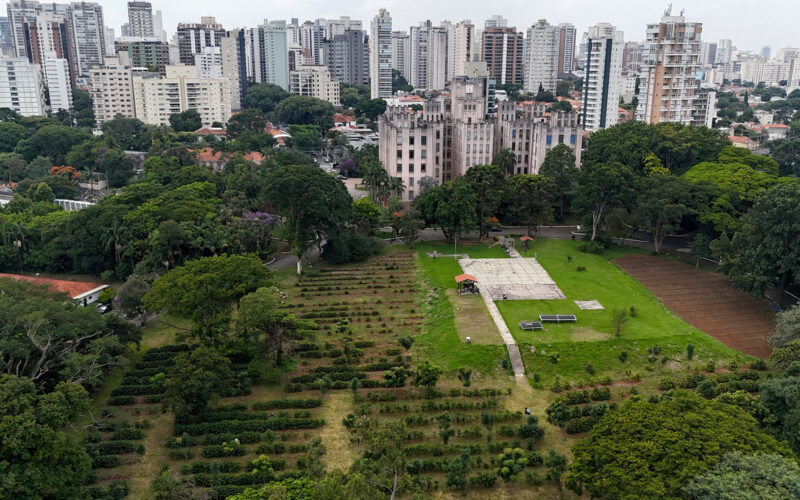Održive poljoprivredne prakse i diverzifikacija unaprijedile uzgoj kave