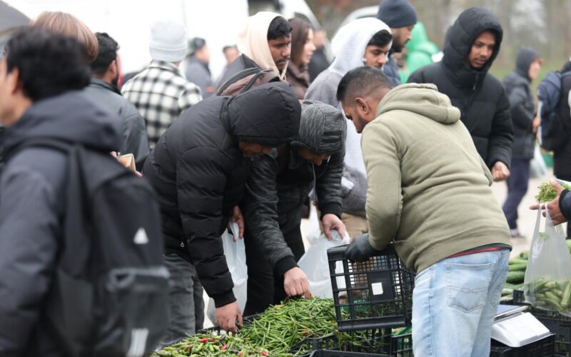 Ovo su poslovi u kojima strani radnici zarađuju puno više od domaćih, postoji čitav paralelni svemir tzv. ‘ekspata’
