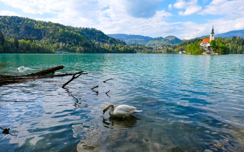 Azijski turisti zaobilaze Bled, no stvar bi mogli spasiti Amerikanci