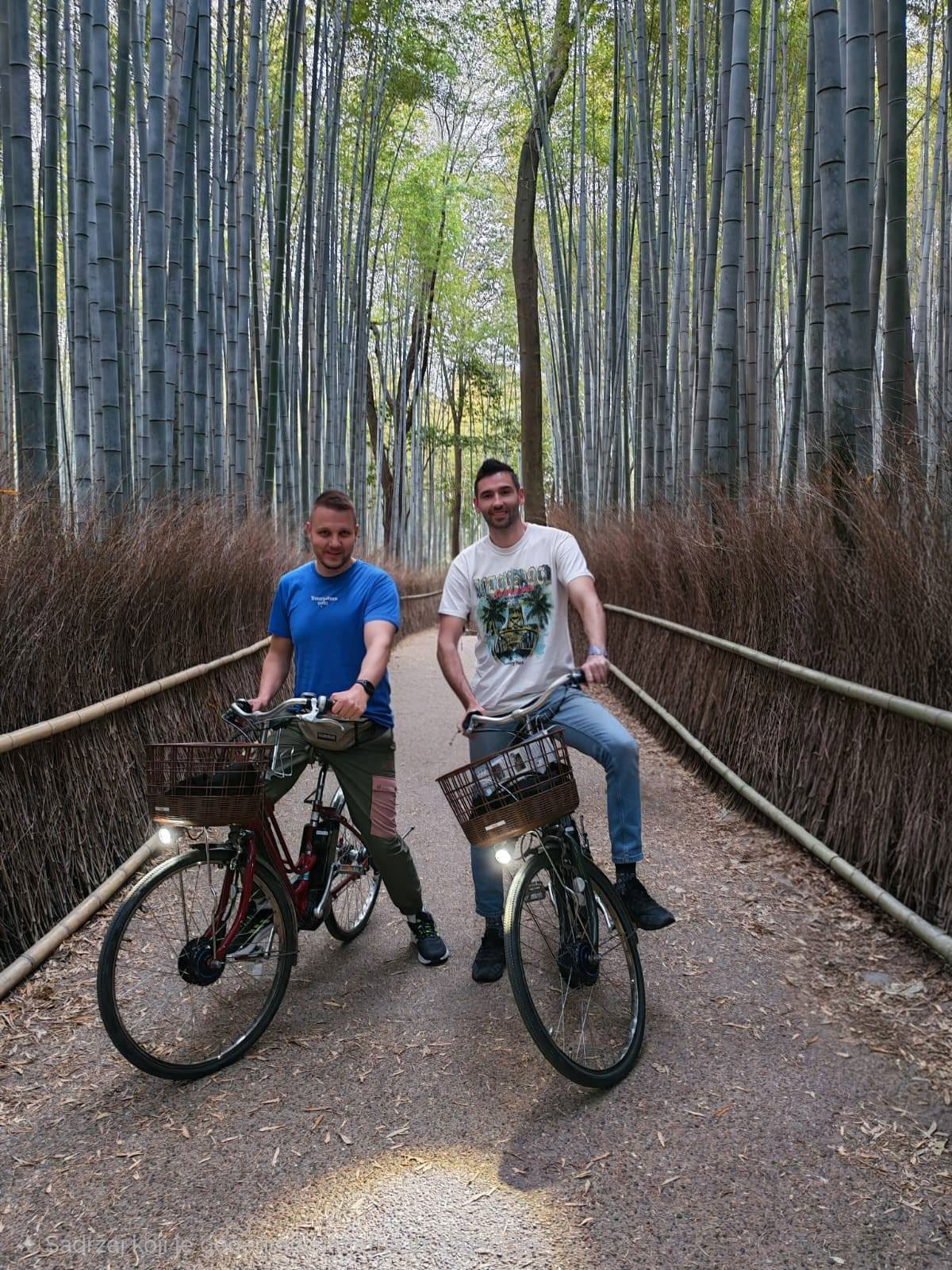Đakovačka-avantura-u-Kyotu-u-Arashiyama-šumi-od-bambusa/Privatni album