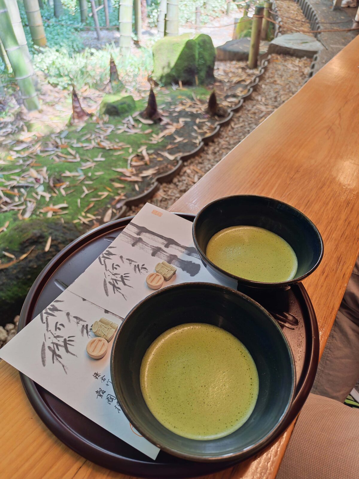 Zen-na-japanski-način-Ispijanje-matcha-čaja-u-Hramu-bambusa-Hokokuji-u-Kamakuri-–-savršen-spoj-tradicije,-okusa-i-umirujuće-prirode/Privatni album