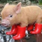 Profile picture of rasmus