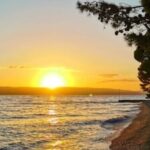 Profile picture of keka