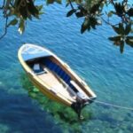 Profile picture of gta1