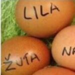 Profile picture of kokoska