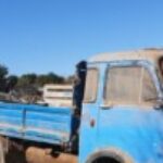 Profile picture of optimist